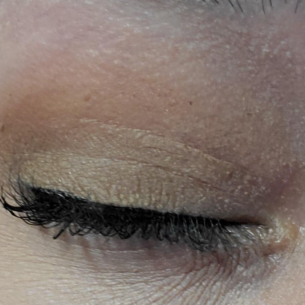 SHEGLAM Willy Wonka X Full Collection Makeup Set Chocolate-Inspired