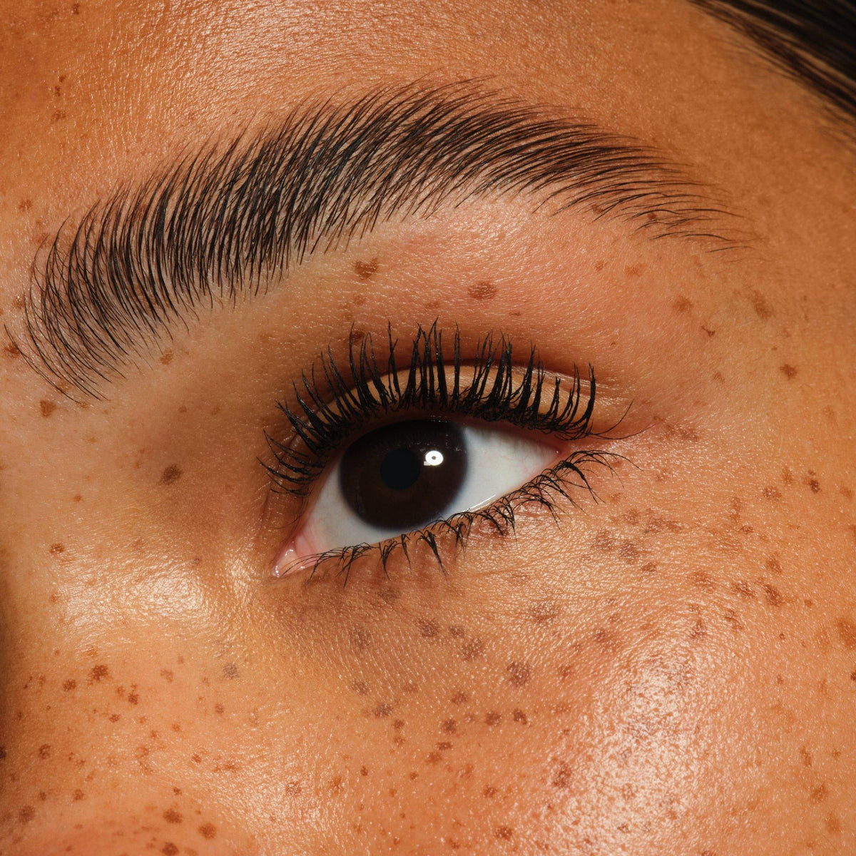 ibraq- Essence Lash PRINCESS Volume & Length Mascara Party Deep Black