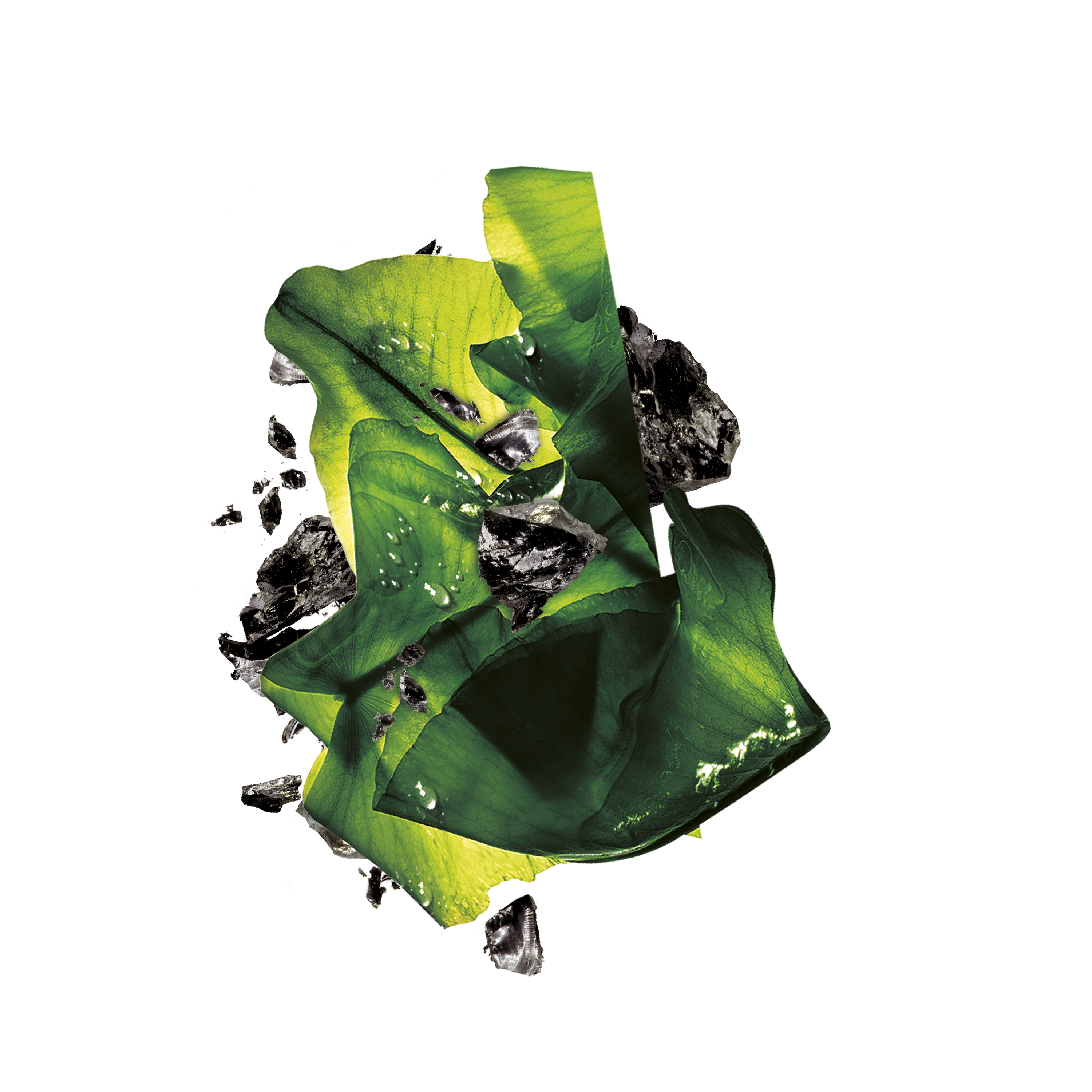 Garnier Charcoal Algae Mask