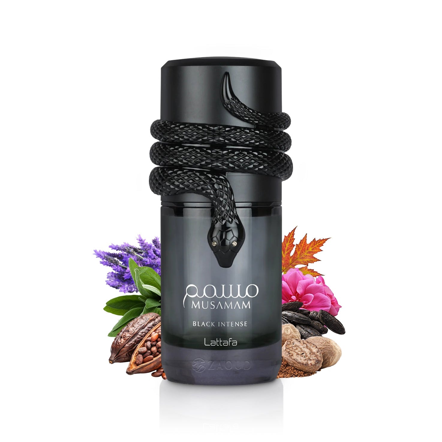 https://cdn.shopify.com/s/files/1/0570/0891/4541/files/lattafa-musamam-black-intense-perfume-bottle-surrounded-by-cocoa-and-nutmeg-against-white-background.jpg?v=1765394049