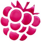 essence WHAT A TINT! Multi-Purpose Lip and Cheek Tint Raspberry