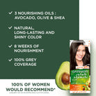 Garnier Color Naturals Nourishing Permanent Hair Color