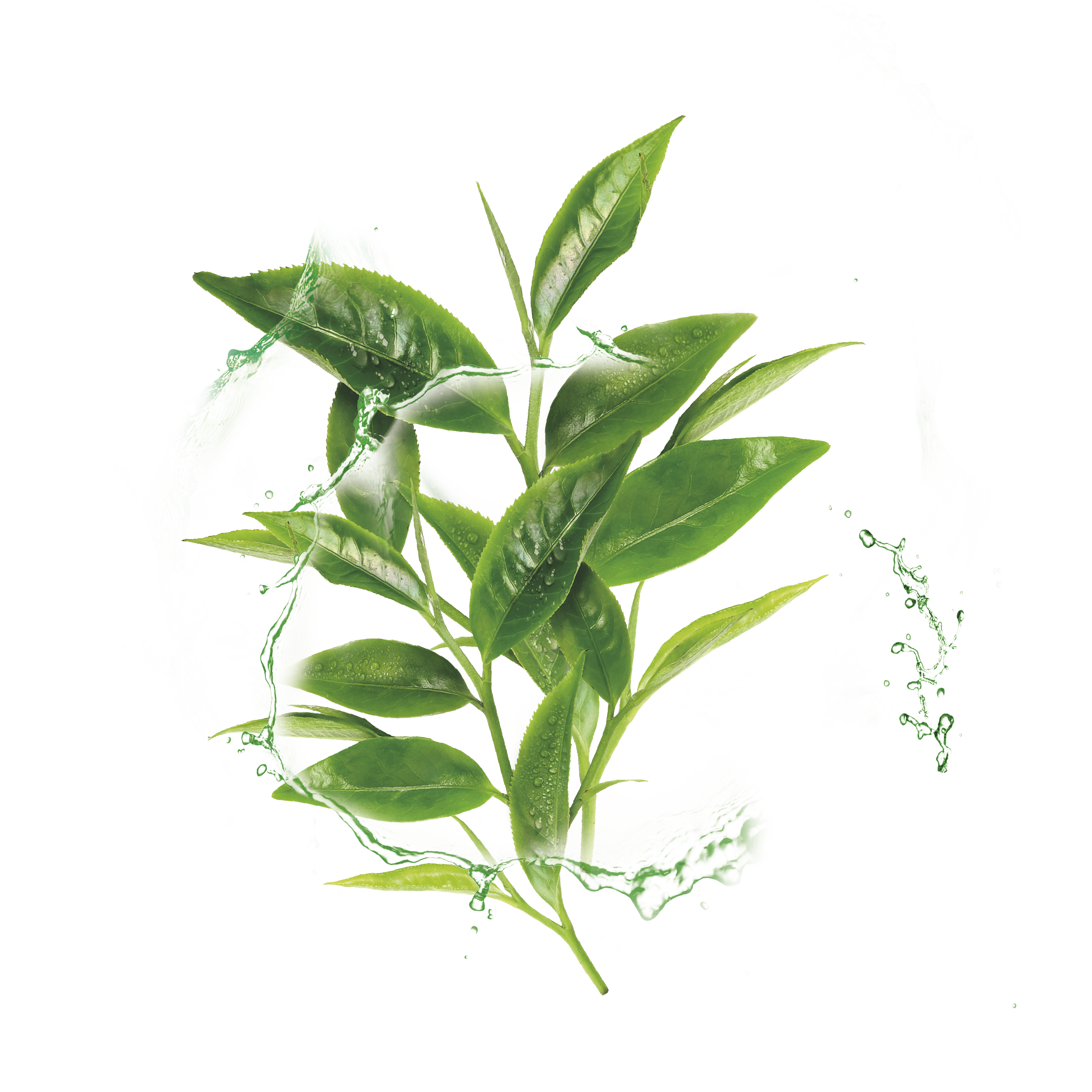 Garnier HydraBomb Rebalancing Face Mask